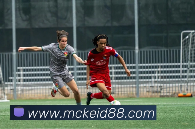 尊龙d88官网APP 封面图